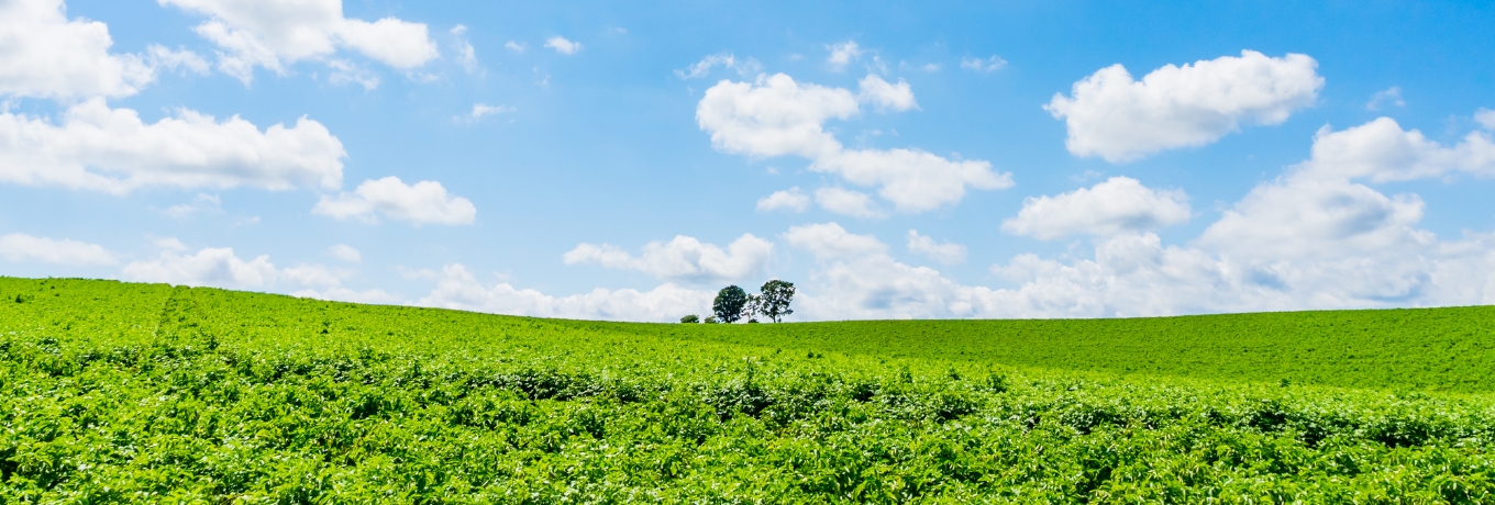 事業所の様子の写真